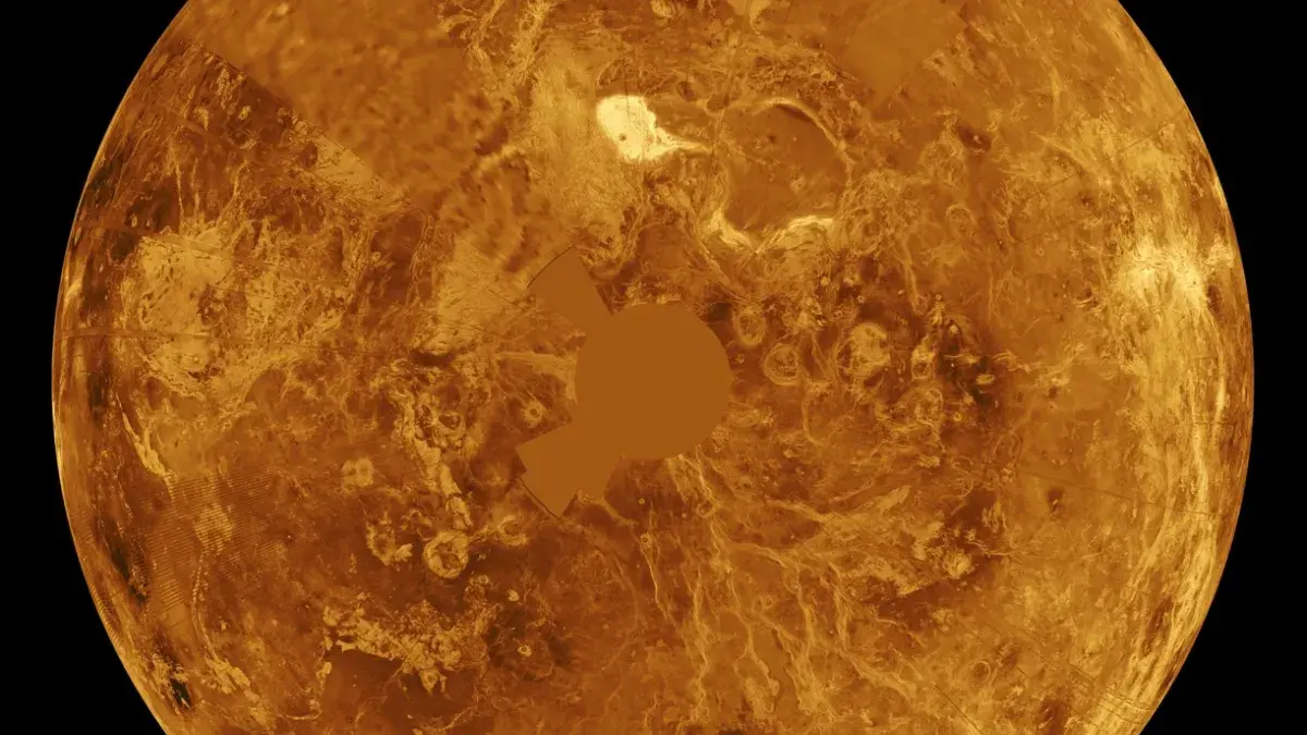 The northern hemisphere is displayed in this global view of the surface of Venus as seen by NASA Magellan spacecraft