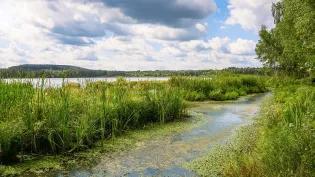 Image of lake