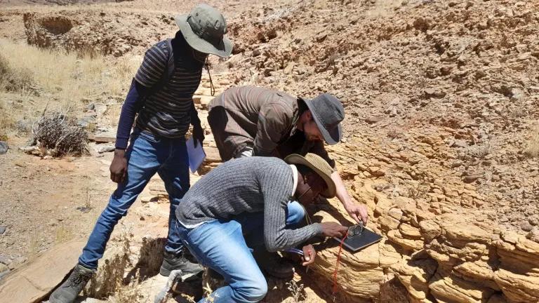 Researchers examine evidence of animal fossils, which are about 550 million years old, in field work in Namibia.