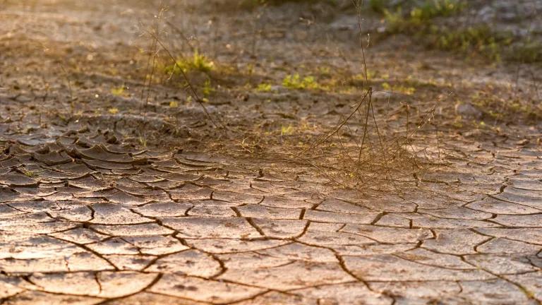 Image of cracked ground during drought