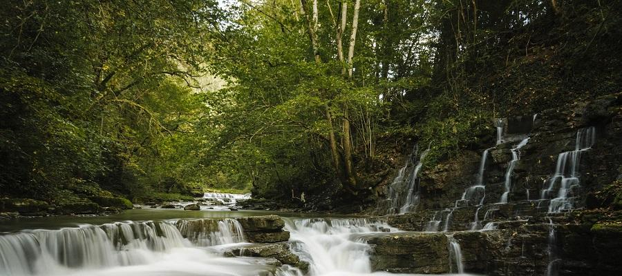 Conservation aims set out ahead of UN summit