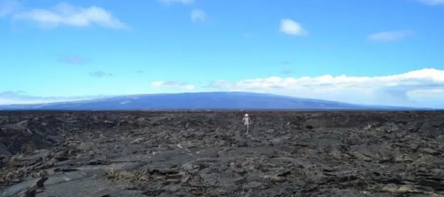 Galapagos volcano could help forecast future eruptions