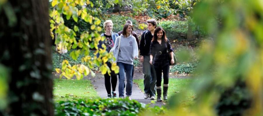 Group of students chatting while walking around campus