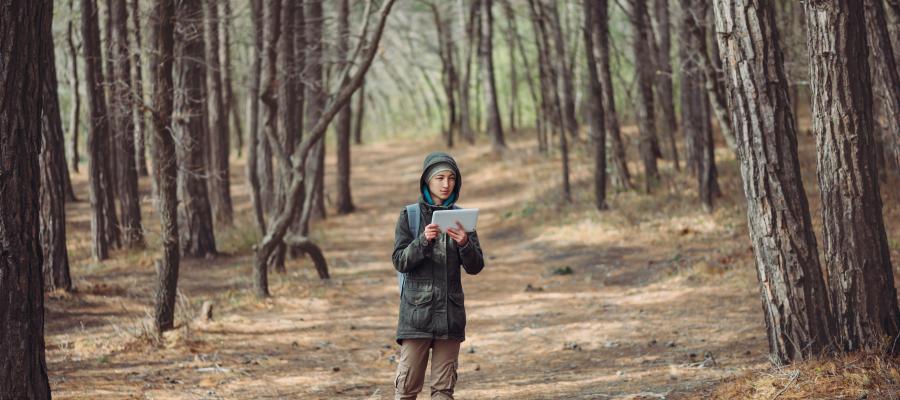 Person standing in the forest using tablet 