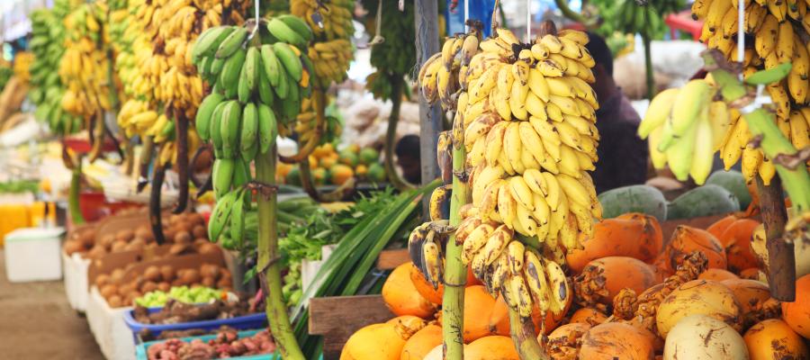 Fruit market stall