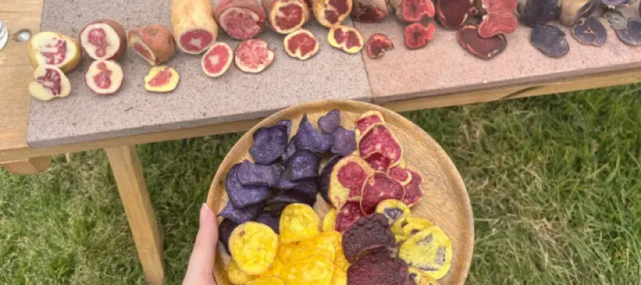 Why study Food Security at Edinburgh?