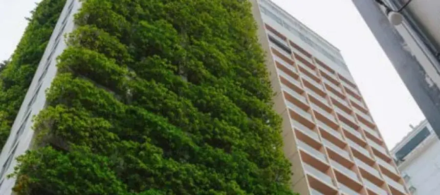 Advancingaction_brochure_image