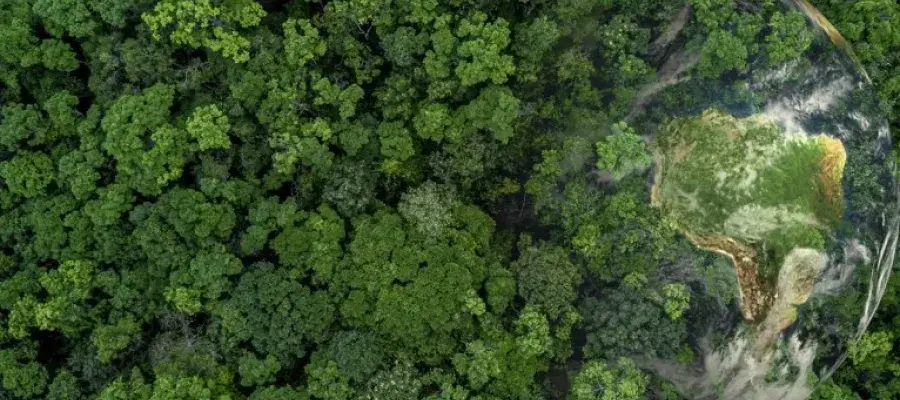 Image for COP30 brochure