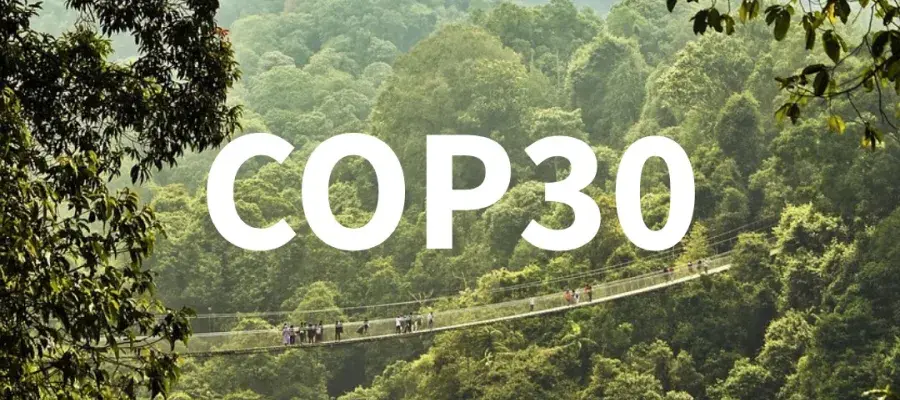 COP30 Image