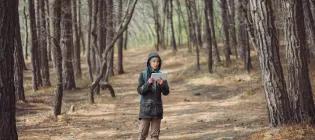 Person standing in the forest using tablet 