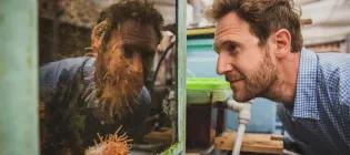 Dr. Sebastian Hennige