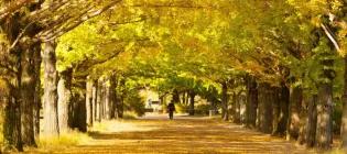 Environment, Culture and Society logo