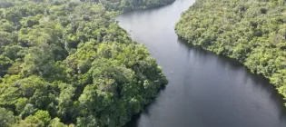 Image of the Amazon rainforest