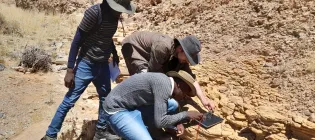 Researchers examine evidence of animal fossils, which are about 550 million years old, in field work in Namibia.