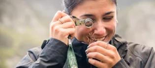 Student identifying a plant