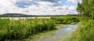 Image of lake