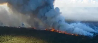Forest fire in Russia