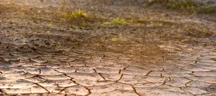 Image of cracked ground during drought