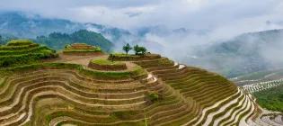 Geos-RG-EnvironmentAndSociety-Mountains-And-Trees-In-Clouds