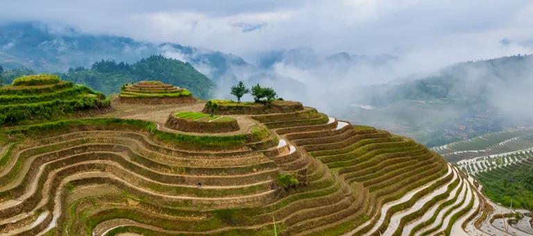 Geos-RG-EnvironmentAndSociety-Mountains-And-Trees-In-Clouds