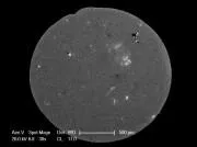 Cathodoluminescence image using EpoHeat epoxy resin