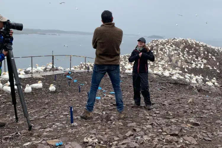 Amy being interviewed by the BBC crew at Bass Rock