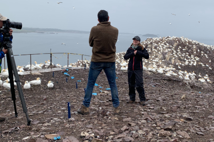 Amy being interviewed by the BBC crew at Bass Rock