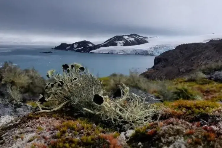 Geos-RG-biosphere-landscape-cliffside