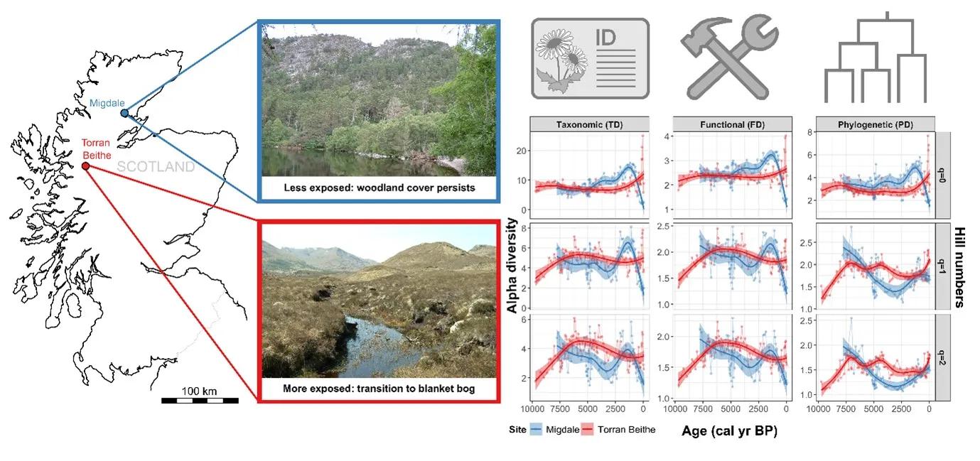 Locations of study sites Migdale (a) and Torran Beithe (b) in the Scottish Highlands, with field photographs showing their terrain and current vegetation.