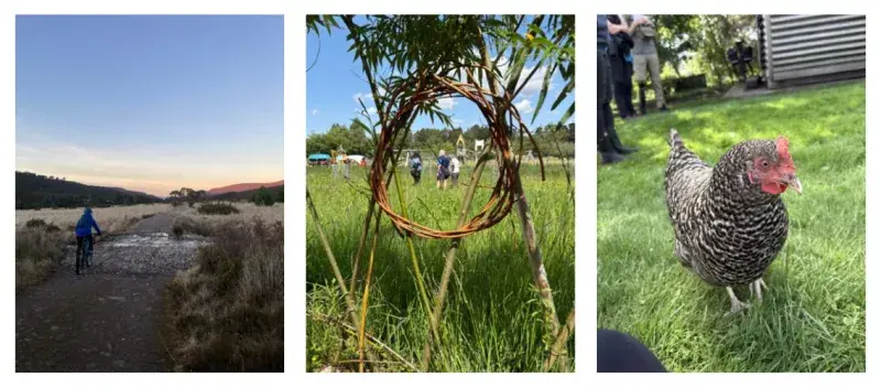 Collage of three images; image 1 shows a person cycling through a field, image 2 shows people in the distance framed through hand-woven branches, and image 3 is of a chicken standing in grass