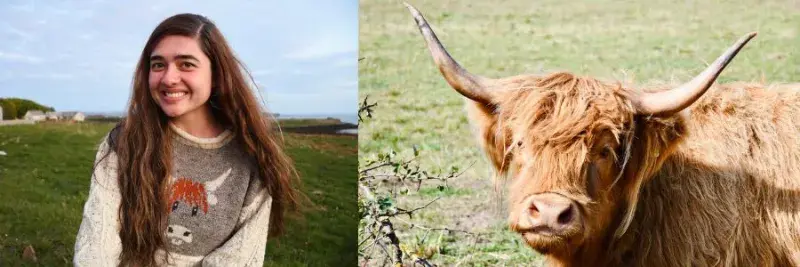 Image 1: Mia in the Highlands wearing a highland cow jumper. Image 2: a close-up of a highland cow's face