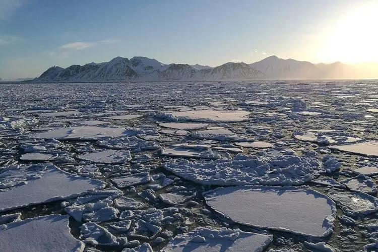 Sea ice is pictured close up with mountain glaciers in the distance.