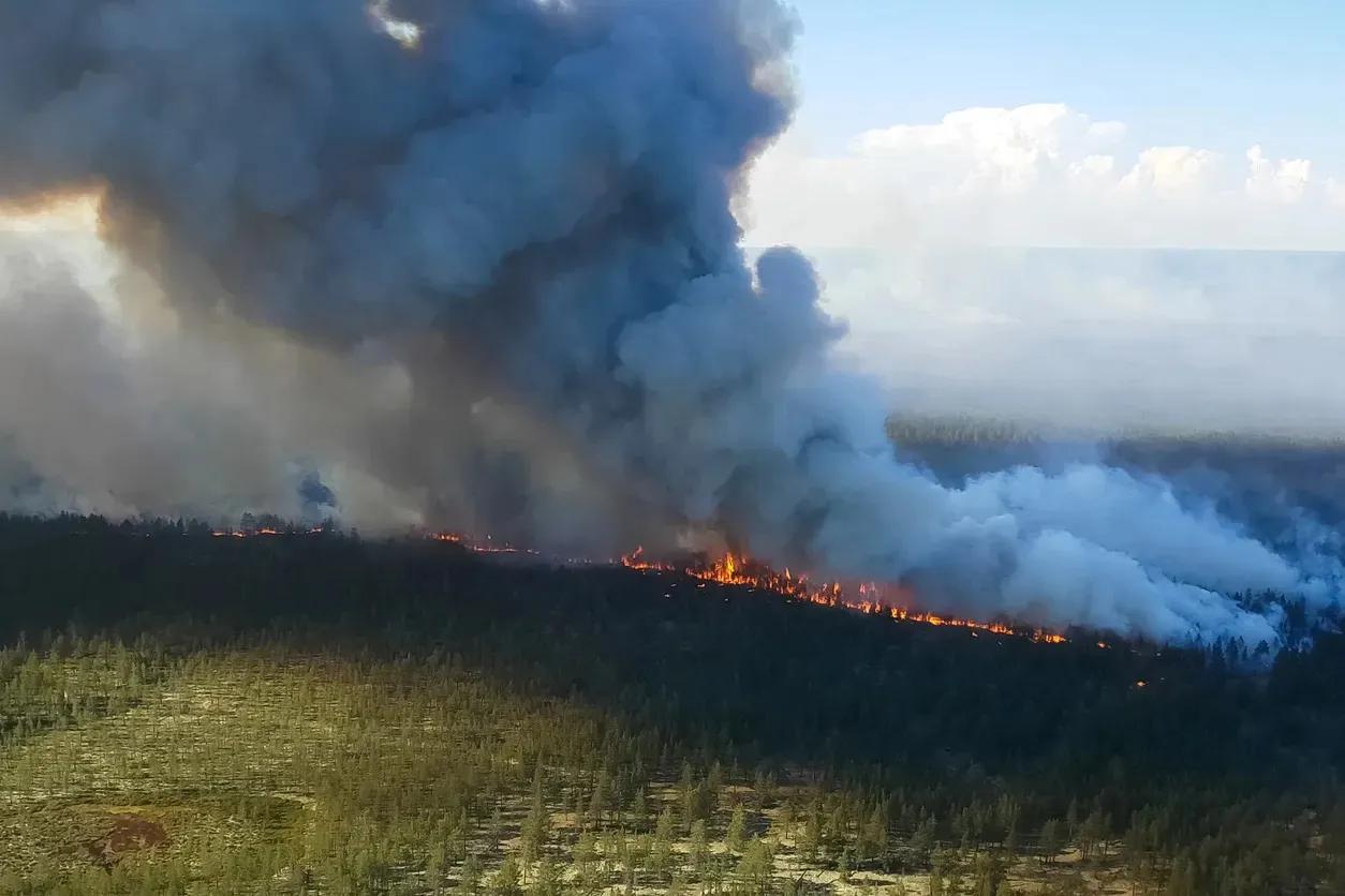 Forest fire in Russia