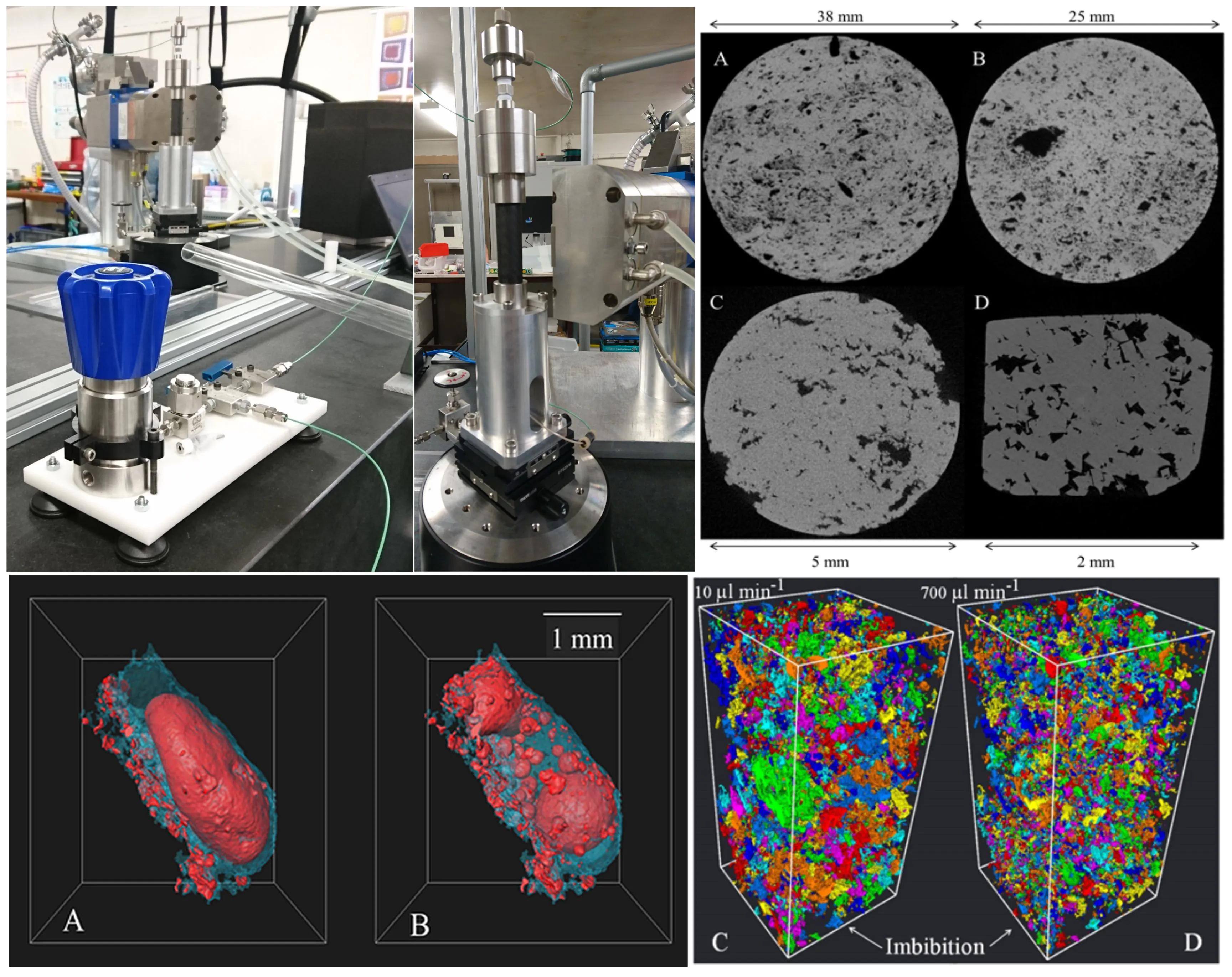 Experimental x-ray microtomography sample images