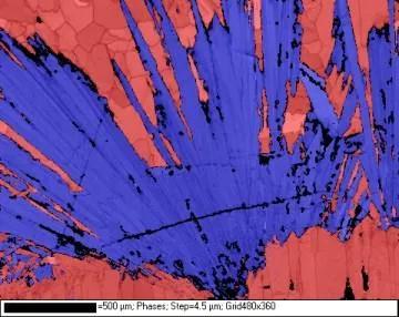 An image using Electron Backscatter Diffraction that shows aragonite needles surrounded by calcite 