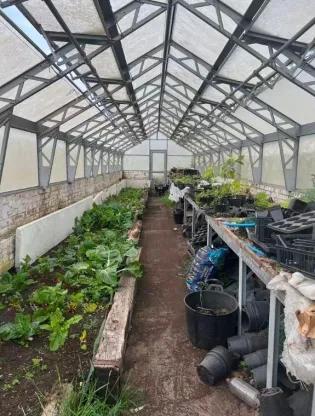 A greenhouse with various plants
