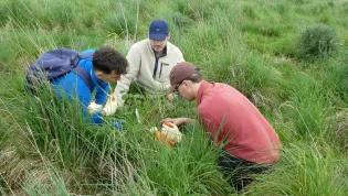 Students sitting on grass conducting field work.
