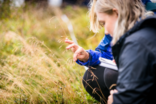 photo of students looking at plant samples on field trip