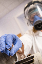 A woman wearing lab coat, gloves and protective face shield dropping rocks into a rock crushing machine