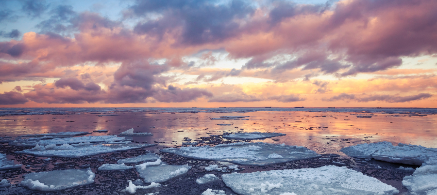 Fragments of floating ice from an ice floe in the ocean with a colourful sunset behind