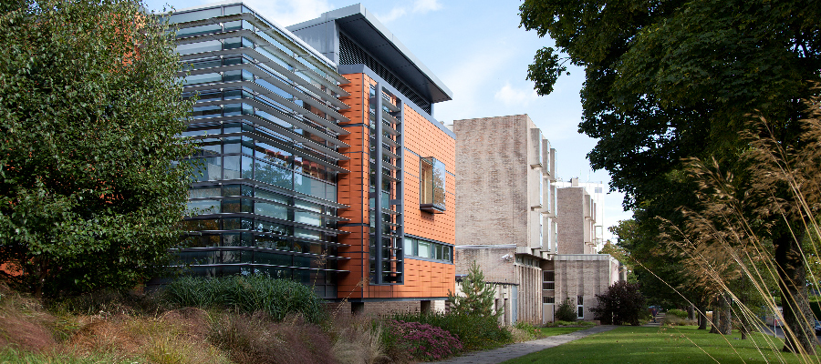 An outdoor view in the gardens showing a modern glass building at Kings campus 