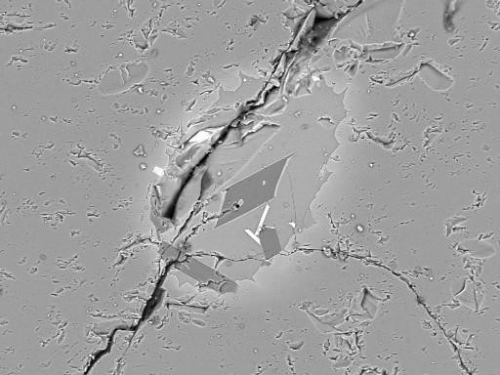 Backscattered electron image of plagioclase and magnetite crystals