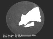 Cathodoluminescence image using zircon mounted in EpoThin epoxy resin